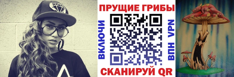 дарнет шоп Борисоглебск Псилоцибиновые грибы ЛСД